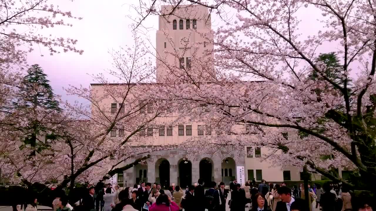 日本留学中介:日本留学中介费用一览表