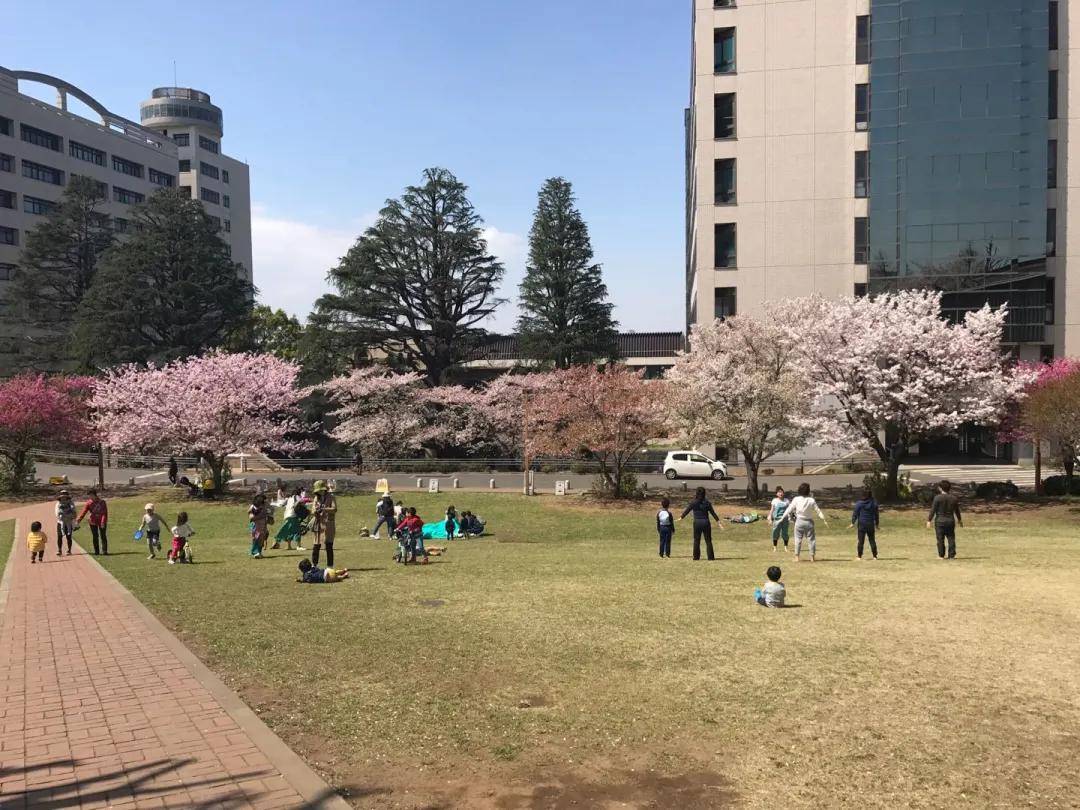 东京工业大学 东京工业大学留学申请条件