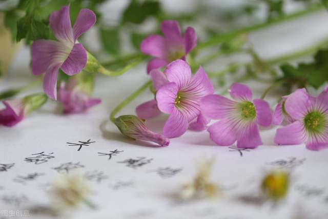 别让我看见 别让我看见你