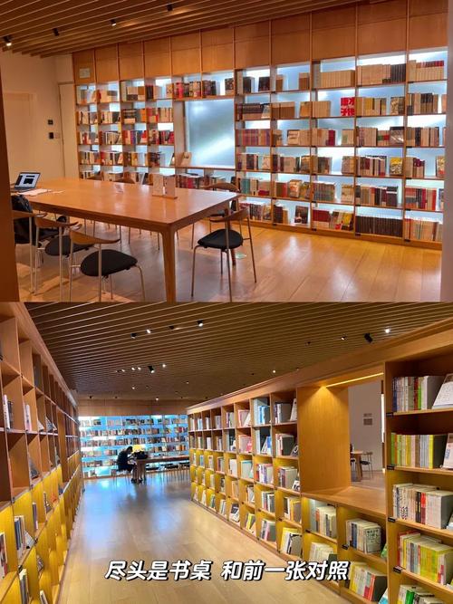 海豚出国留学_海豚国际