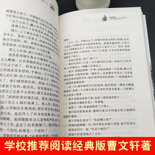 签证被拒签该怎么办?