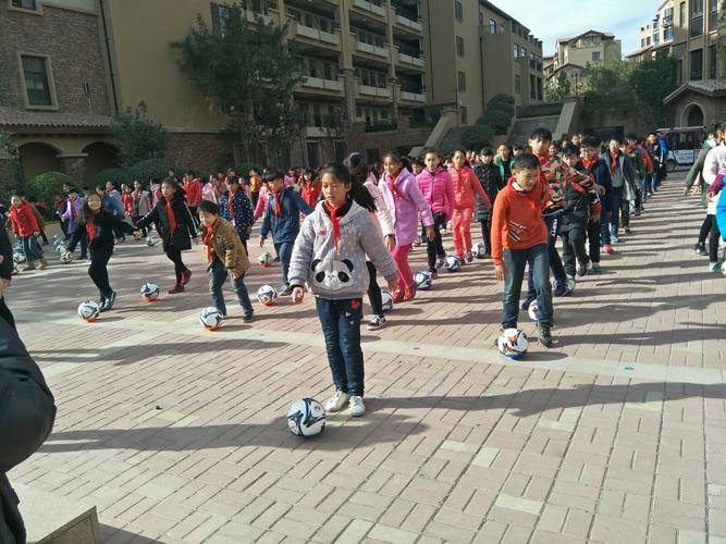 新西兰留学,如何入读新西兰本科?