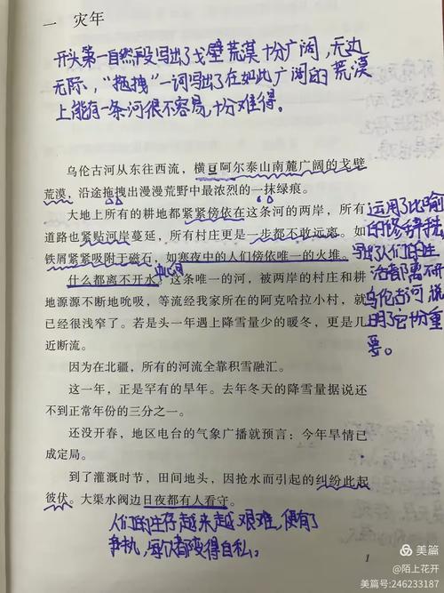 新加坡公立大学就业率