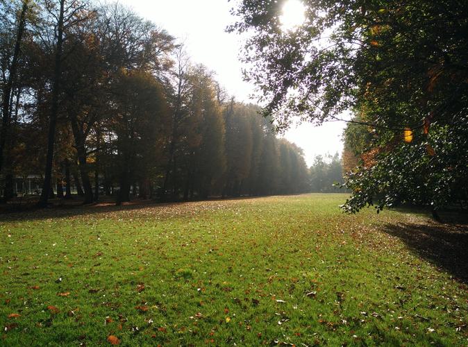 德国学历倒读成功出签