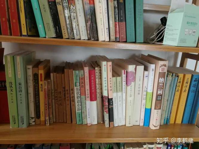 苏琪留学菜肴苏琪留学生谁