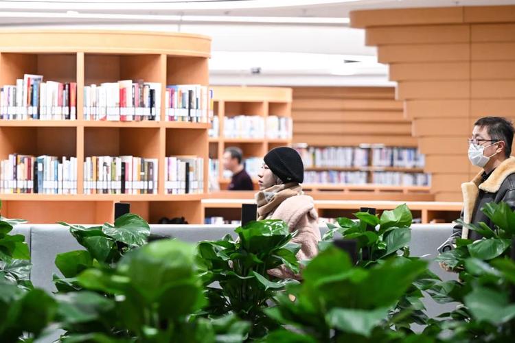 留学澳大利亚三大黄金专业