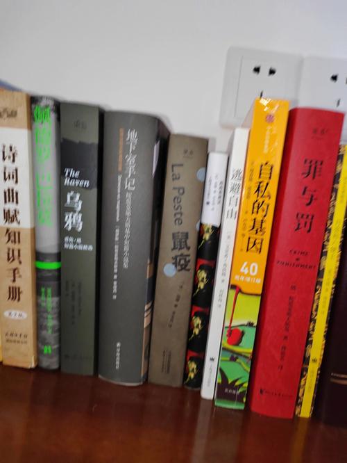 芝加哥大学计算应用数学硕士录取案例!