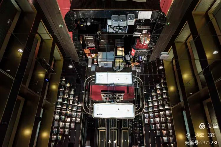 疯狂的留学生(疯狂学生出品)