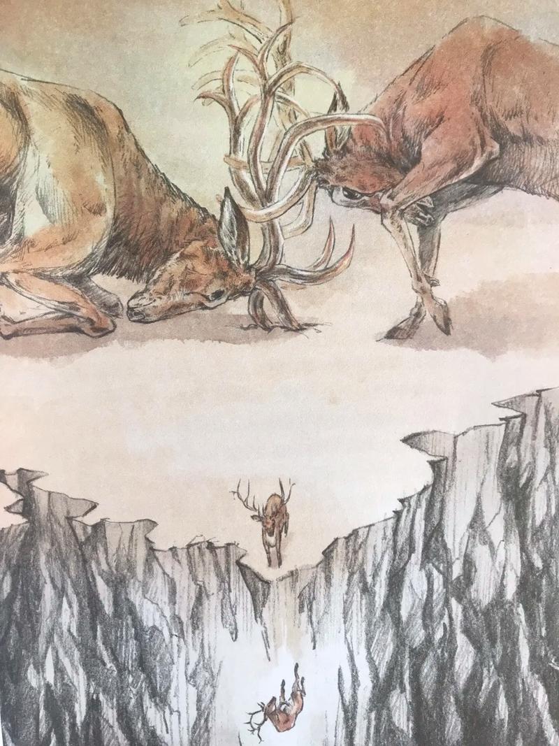 学生签证和学习许可的区别